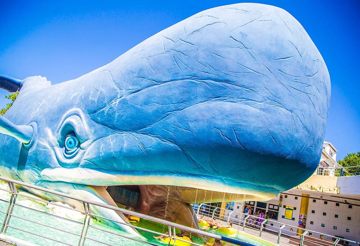 media.Buoni_Motivi_Atlantica_ingressi_gratuiti_parco_acquatico_Club_Family_Hotel_Costa