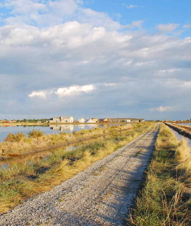 media.Slide-Salina-CFH-Costa-dei-Pini-Cervia