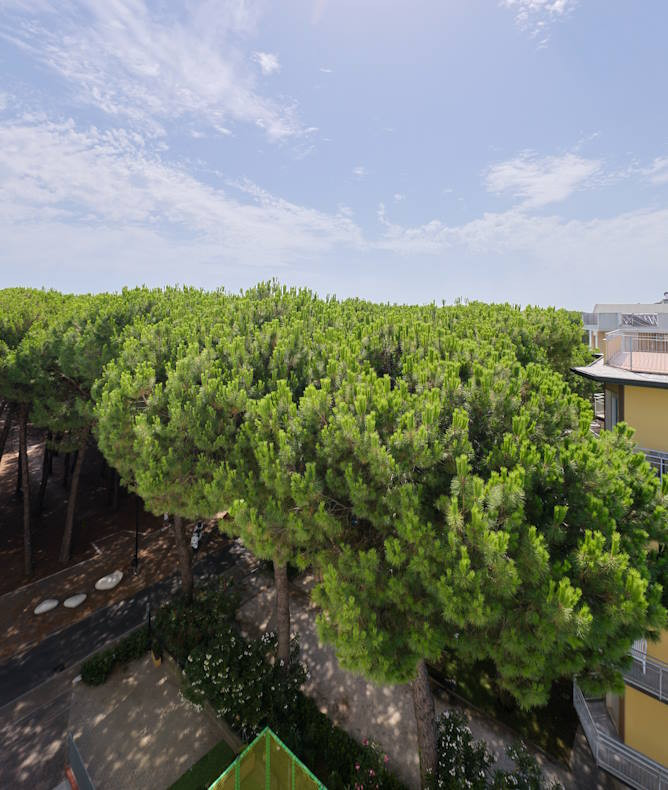 media.Gallery 4 Dove Siamo Club Family Hotel Residence Costa dei Pini - davanti alla pineta e vicino alla spiaggia di Pinarella di Cervia
